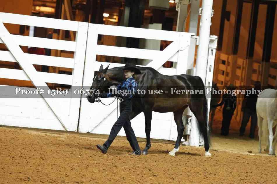 Proof Number 15R9_06574