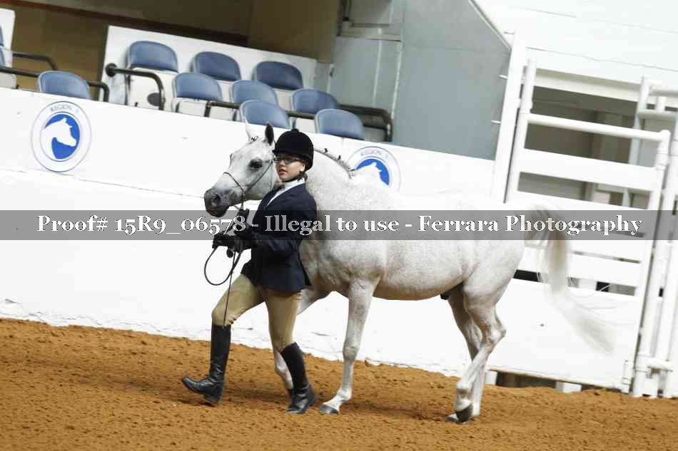 Proof Number 15R9_06578