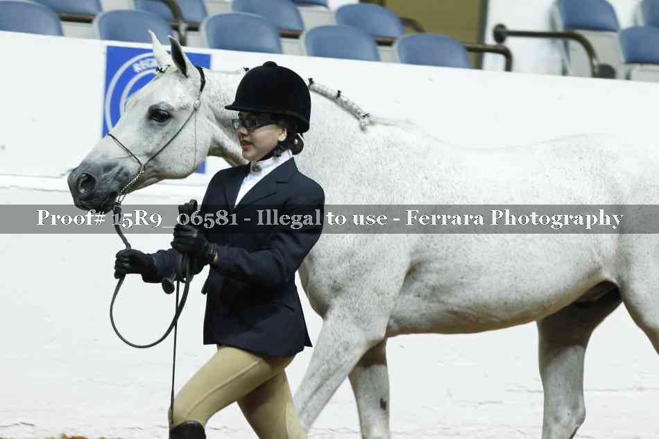 Proof Number 15R9_06581