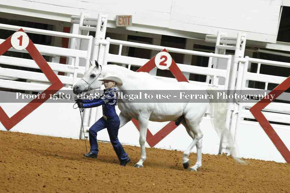 Proof Number 15R9_06582