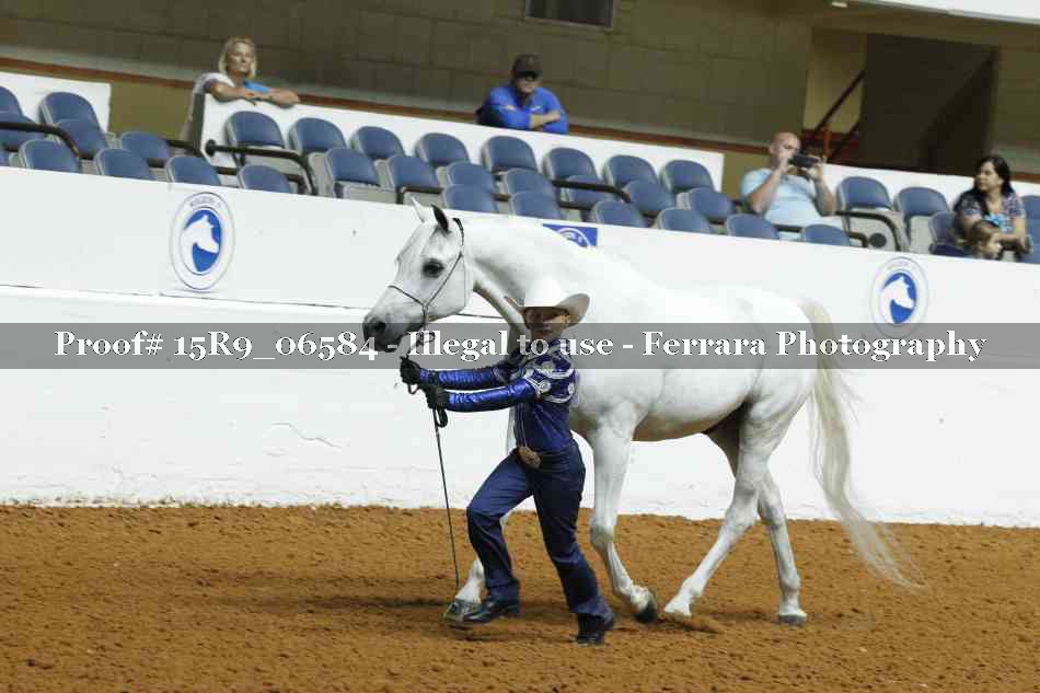 Proof Number 15R9_06584