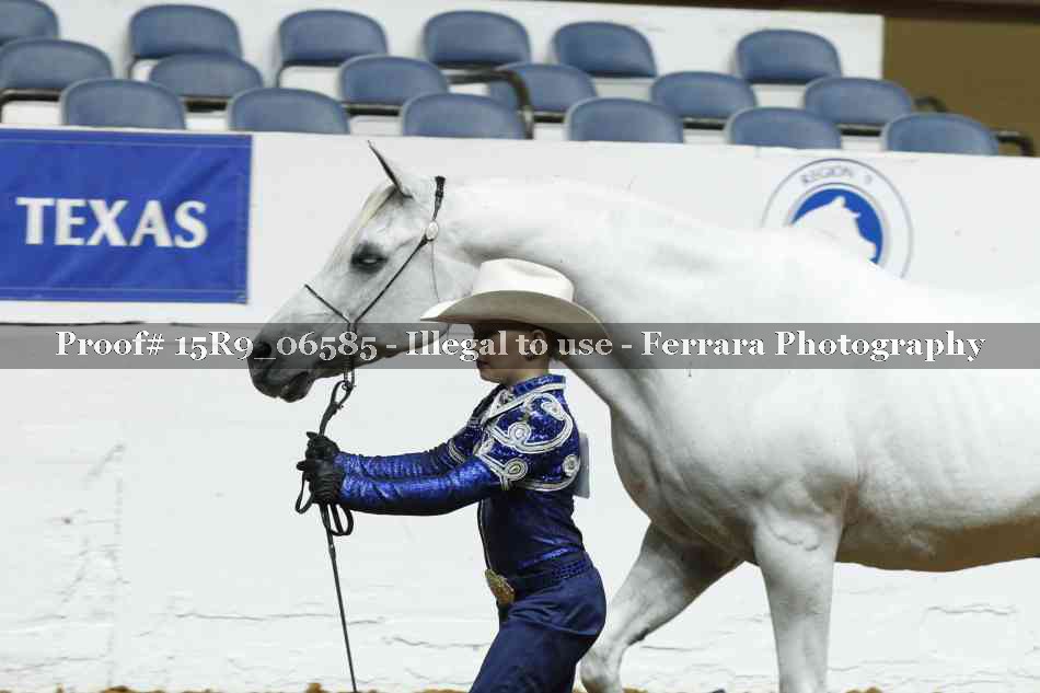 Proof Number 15R9_06585