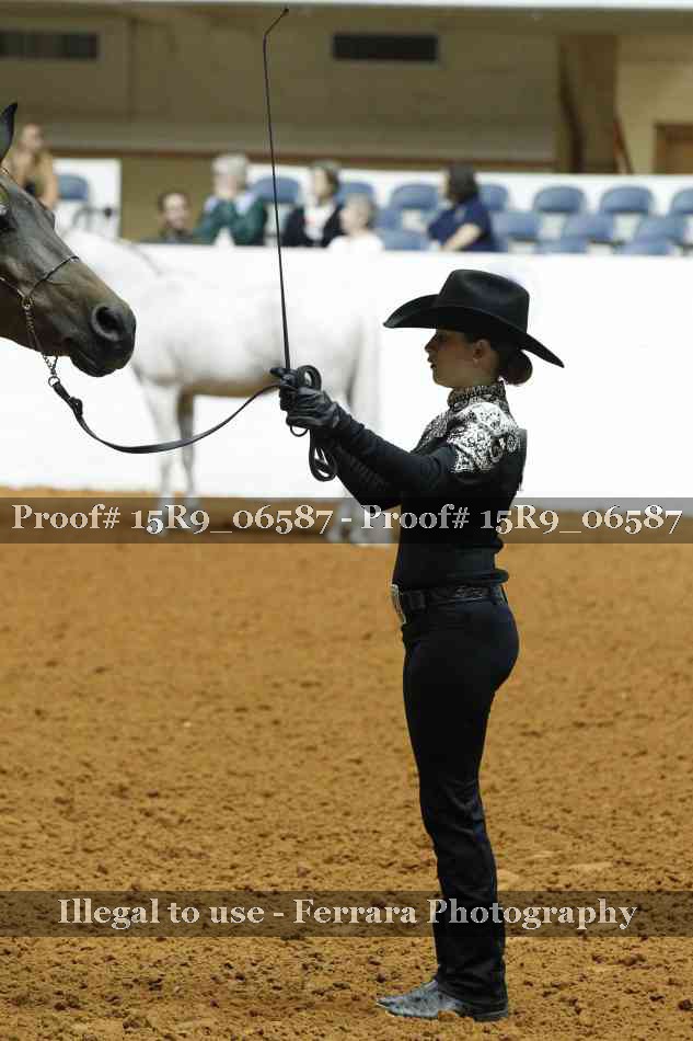 Proof Number 15R9_06587