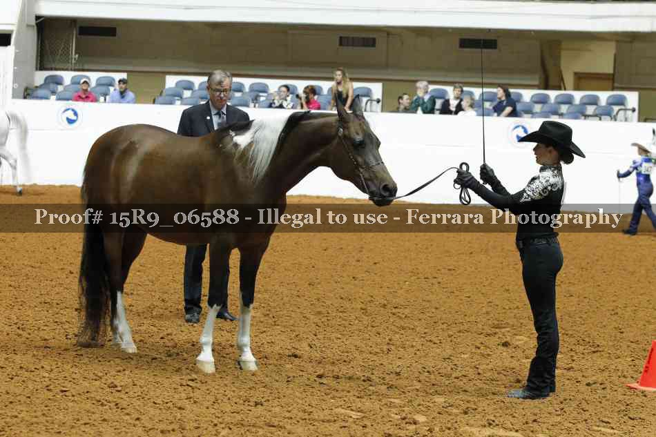 Proof Number 15R9_06588