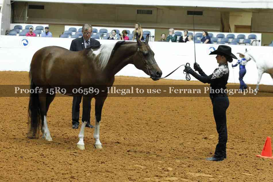 Proof Number 15R9_06589