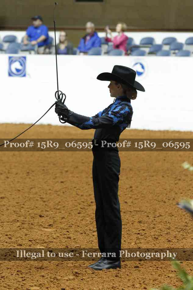 Proof Number 15R9_06595
