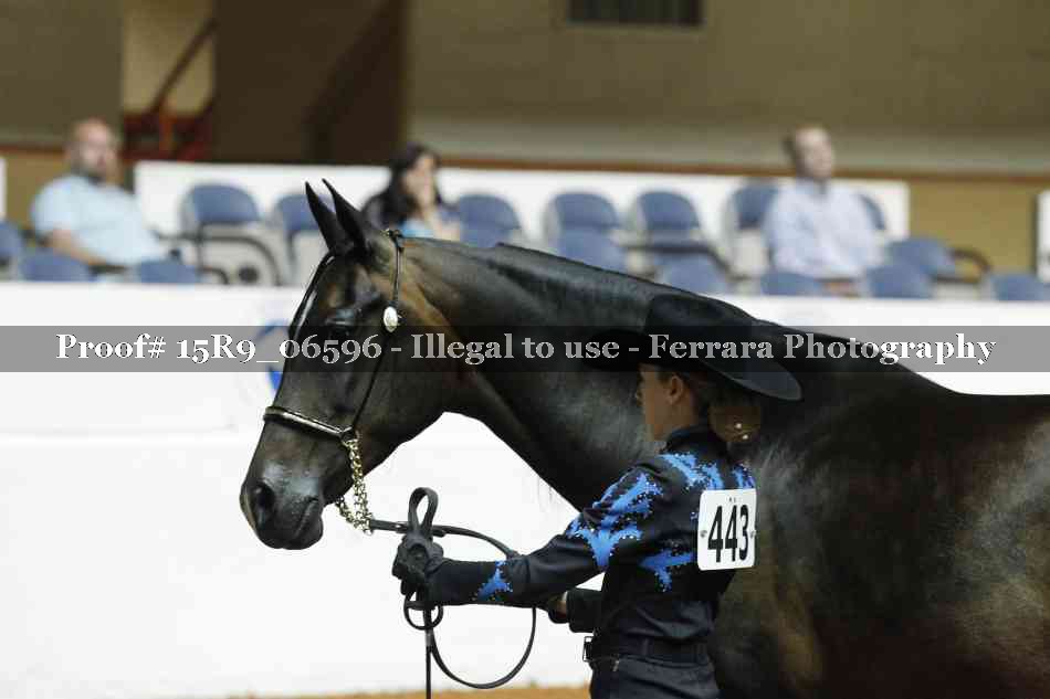 Proof Number 15R9_06596