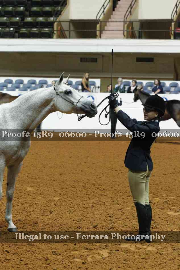 Proof Number 15R9_06600