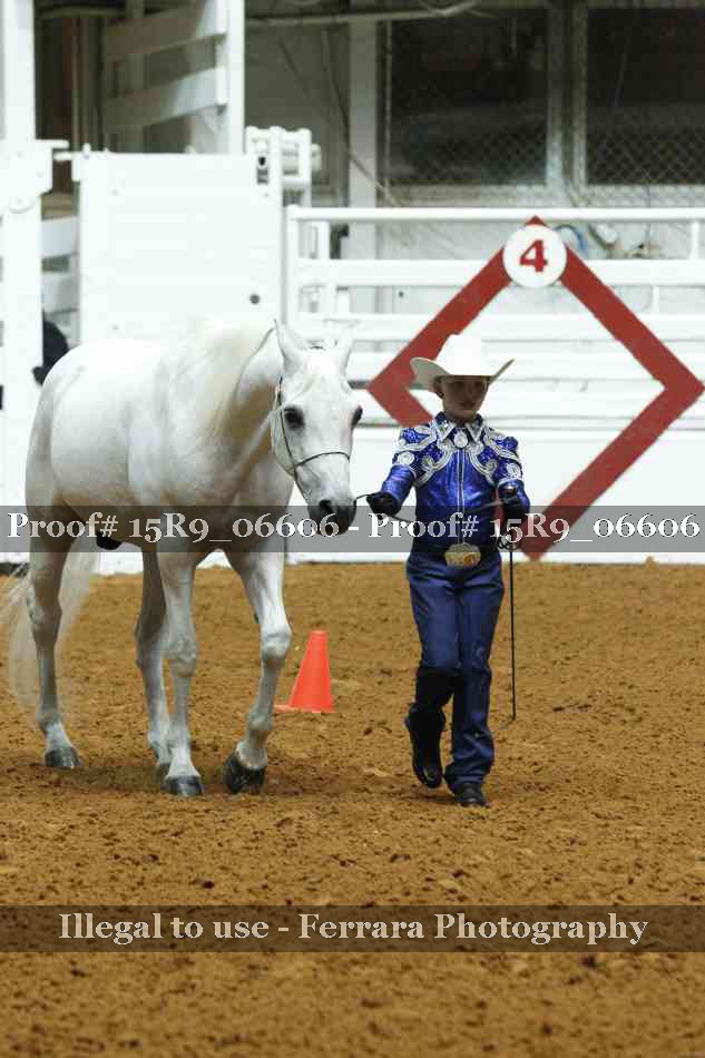 Proof Number 15R9_06606