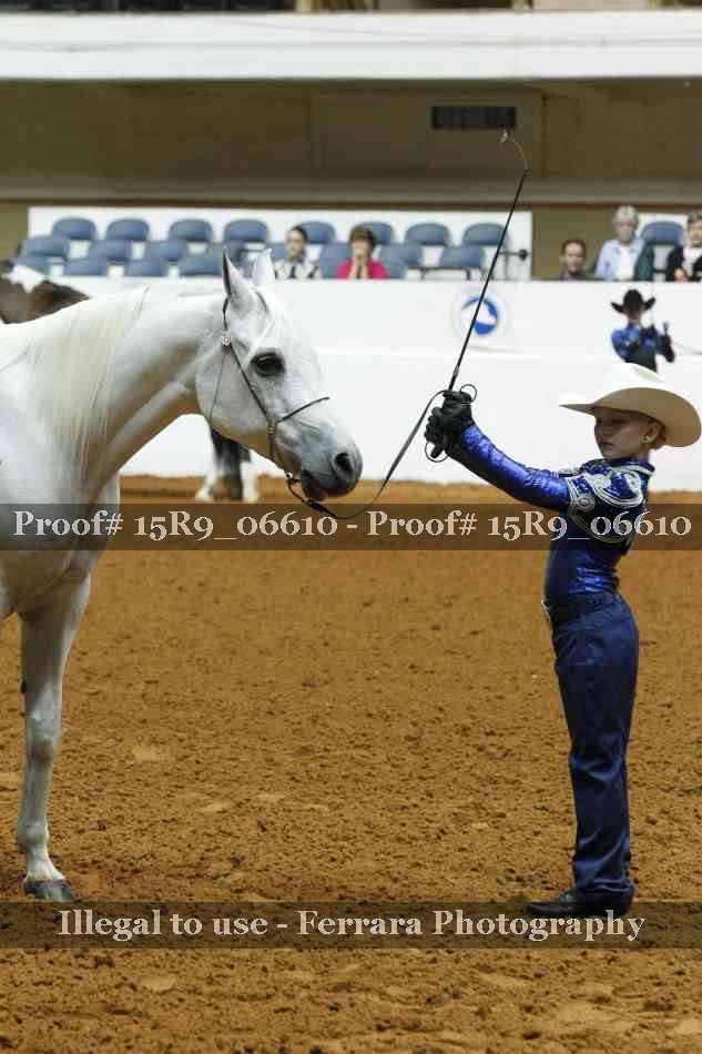 Proof Number 15R9_06610