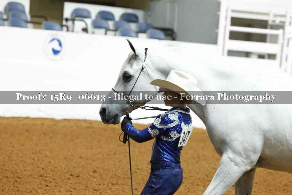 Proof Number 15R9_06613