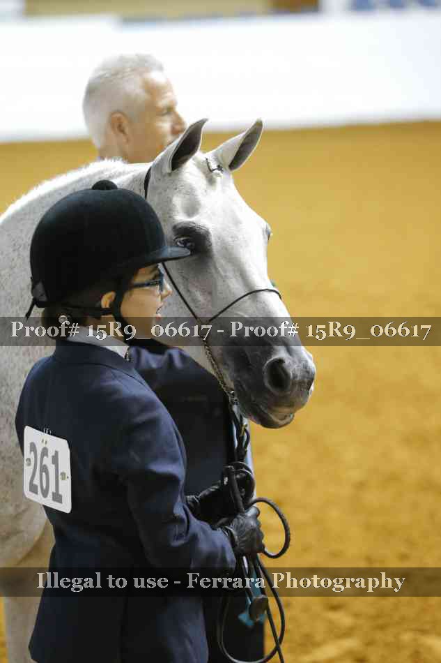 Proof Number 15R9_06617
