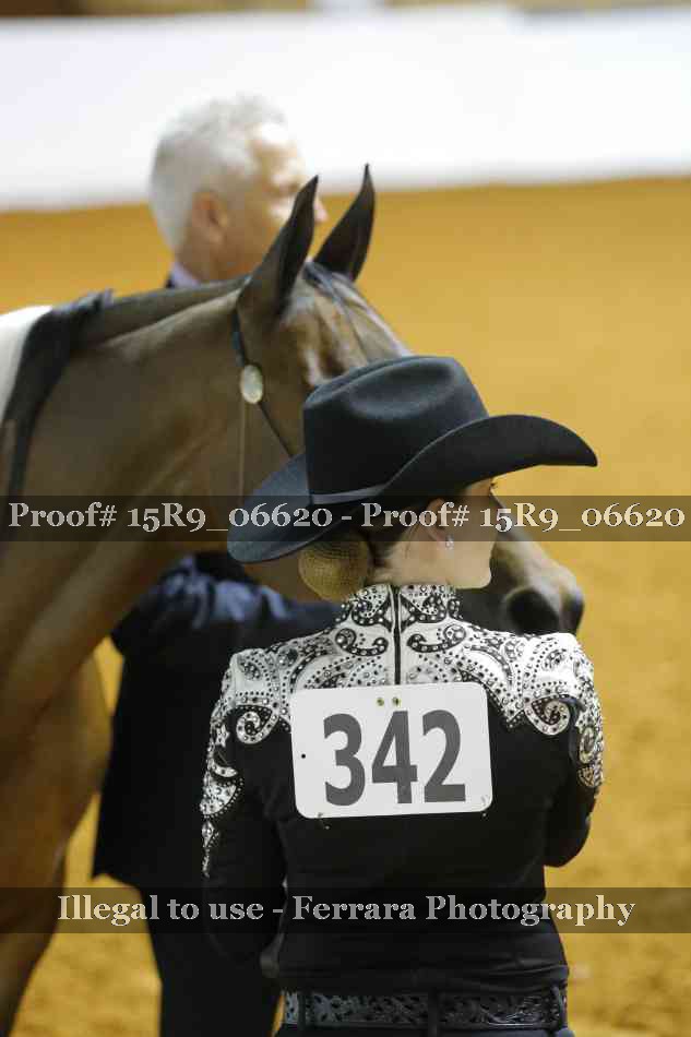Proof Number 15R9_06620
