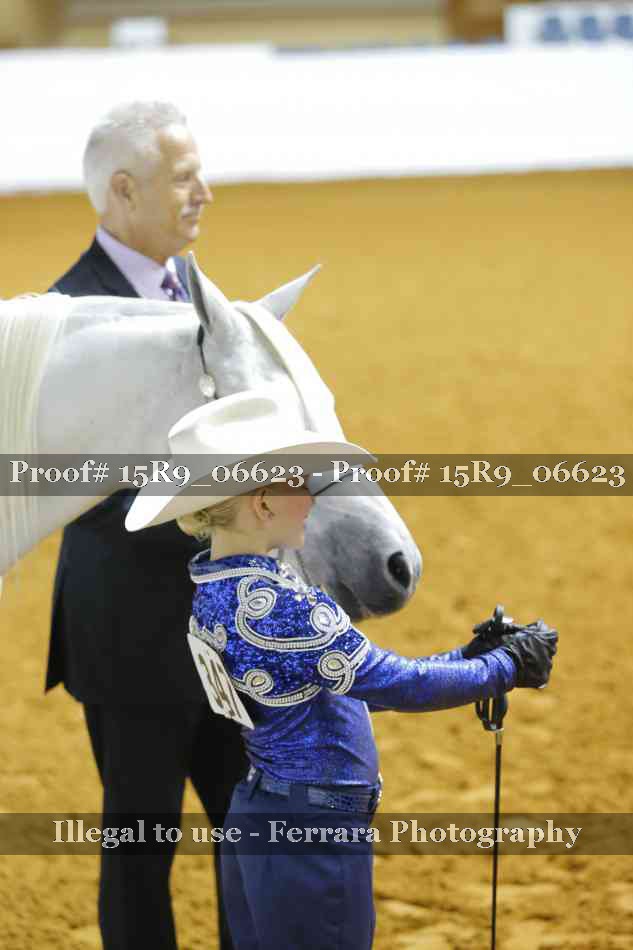 Proof Number 15R9_06623