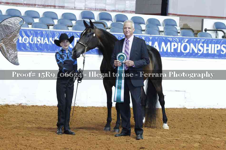 Proof Number 15R9_06624