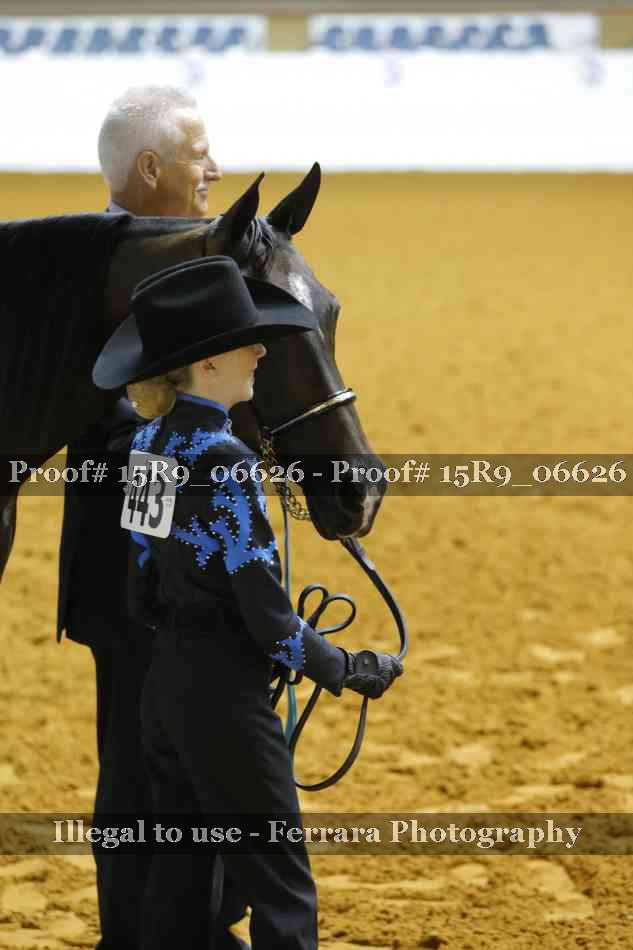 Proof Number 15R9_06626