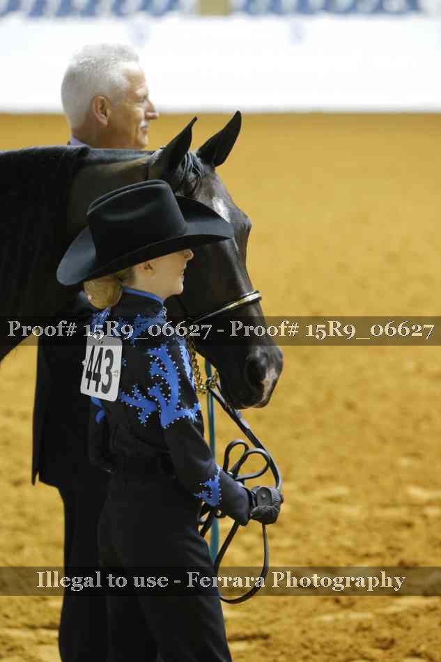 Proof Number 15R9_06627