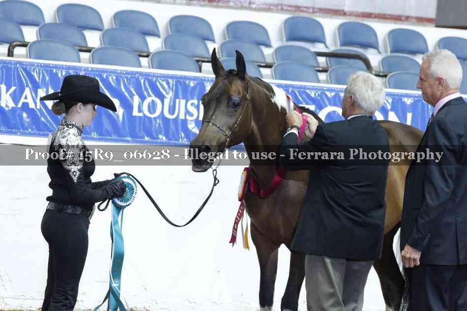 Proof Number 15R9_06628