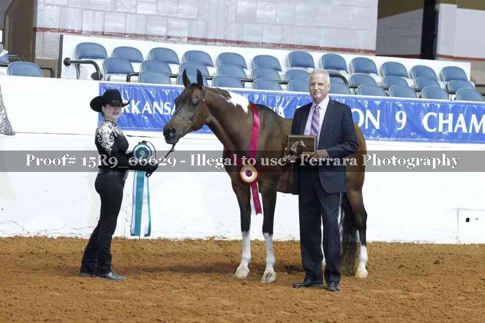 Proof Number 15R9_06629