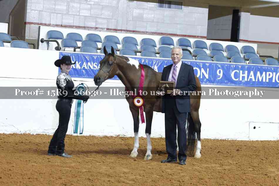 Proof Number 15R9_06630