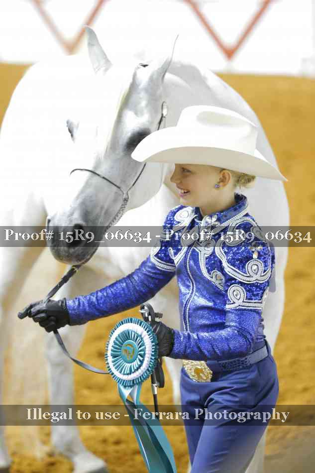 Proof Number 15R9_06634