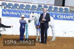 15R9_06637 thumbnail