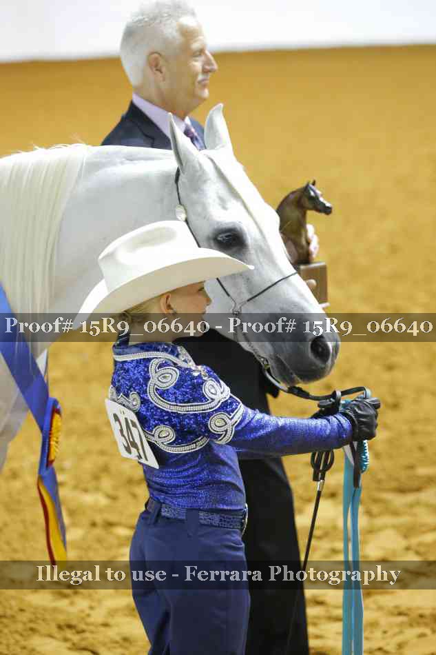 Proof Number 15R9_06640
