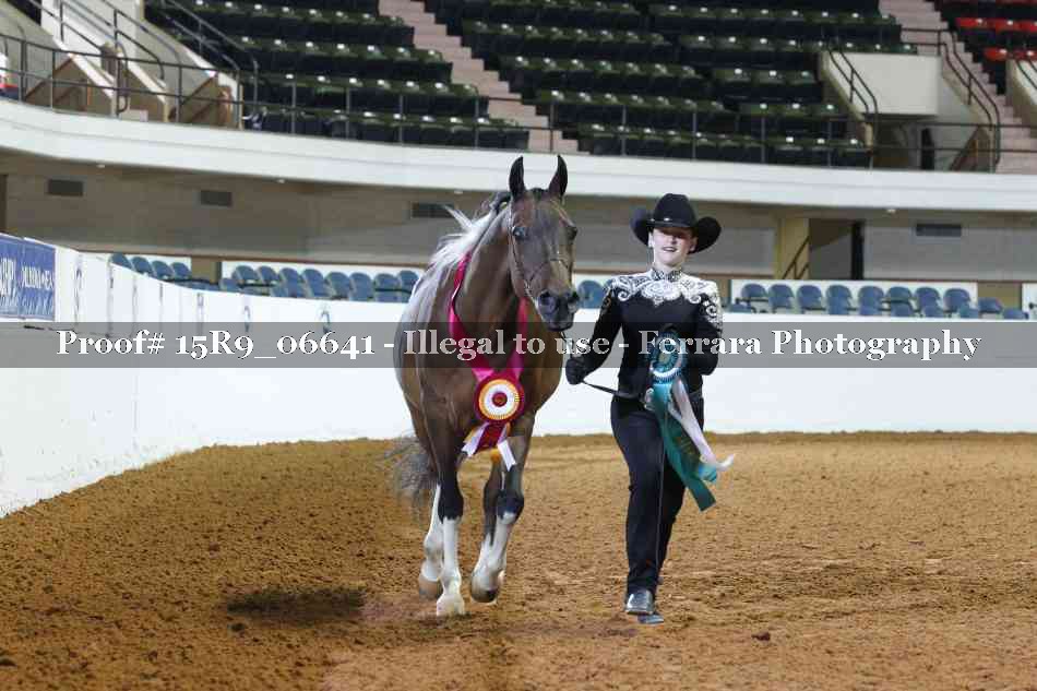 Proof Number 15R9_06641