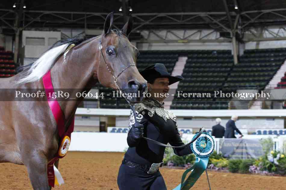Proof Number 15R9_06644