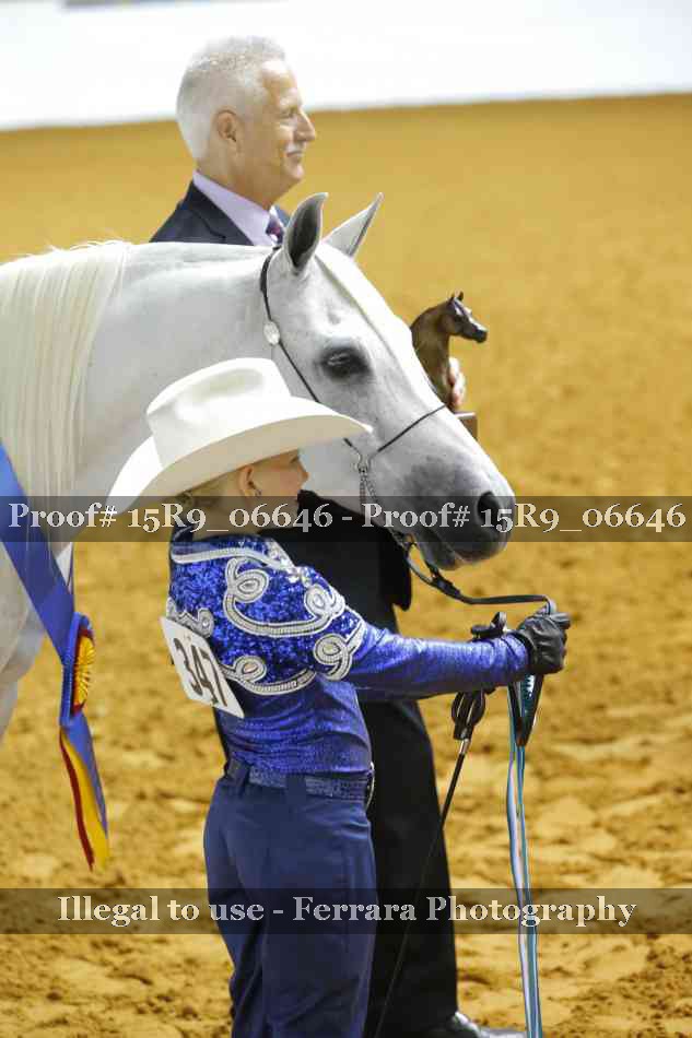 Proof Number 15R9_06646