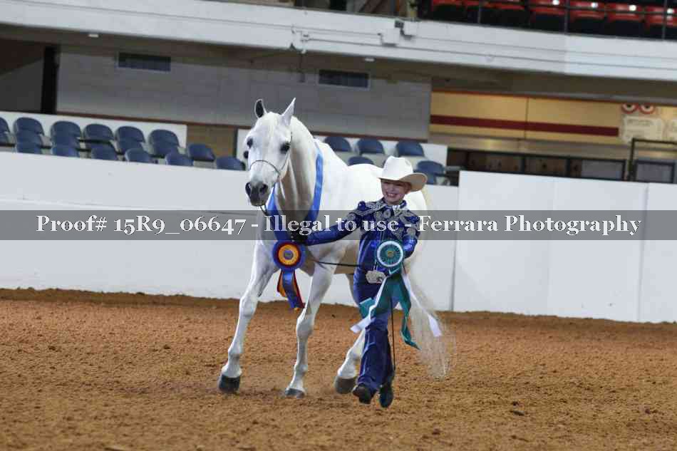 Proof Number 15R9_06647