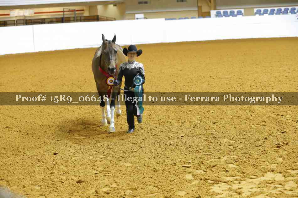 Proof Number 15R9_06648