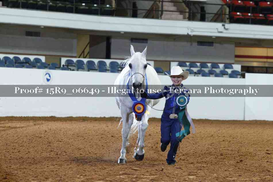 Proof Number 15R9_06649