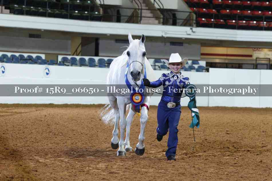 Proof Number 15R9_06650