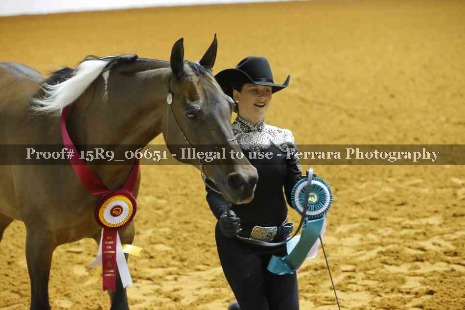 Proof Number 15R9_06651