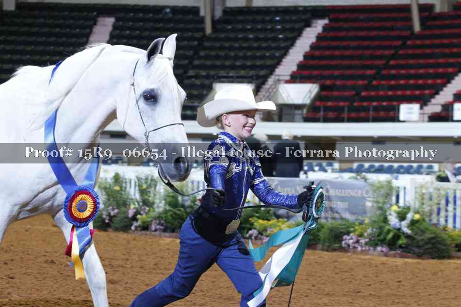 Proof Number 15R9_06654