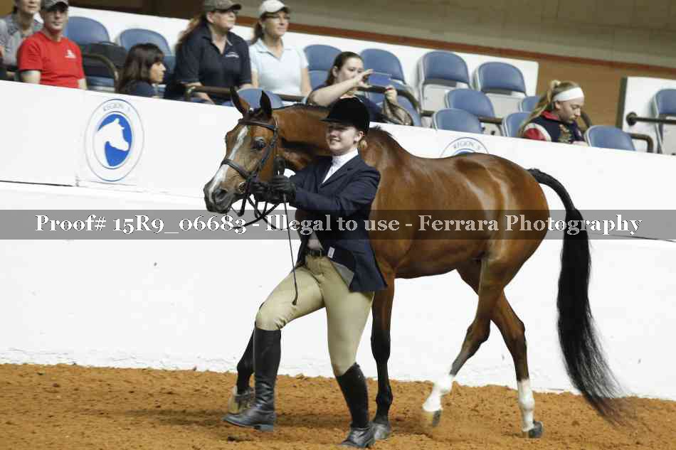 Proof Number 15R9_06683