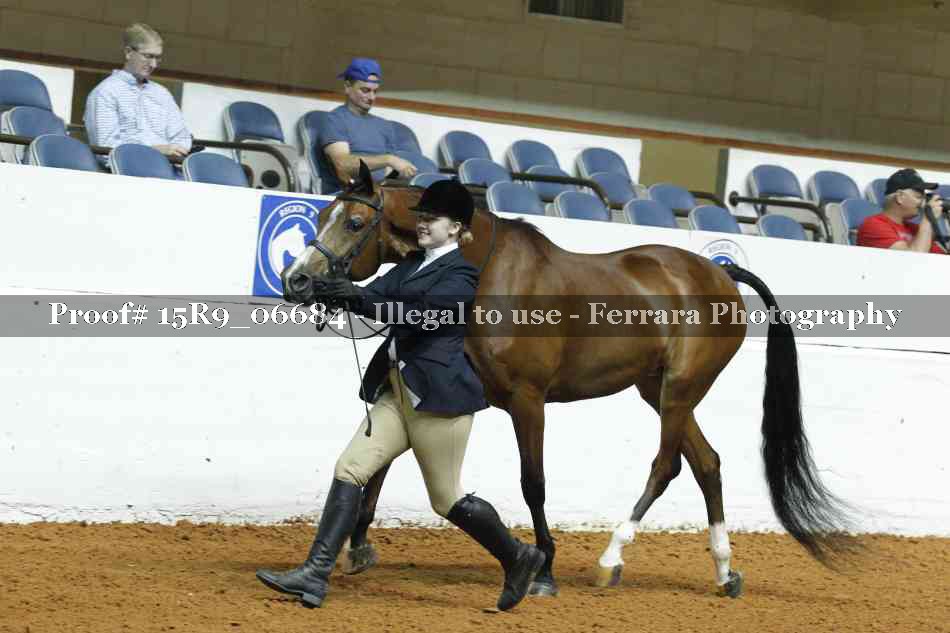 Proof Number 15R9_06684
