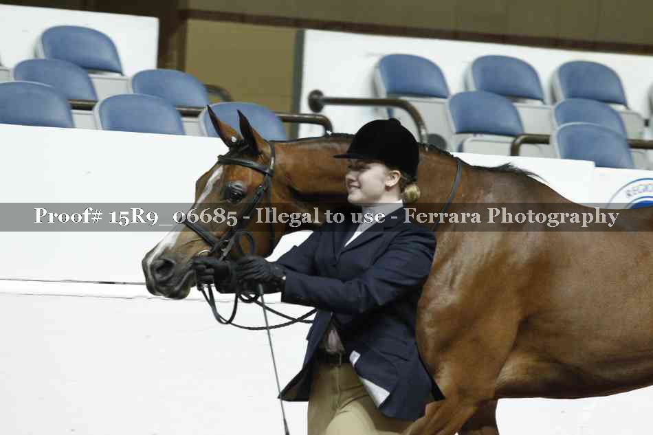 Proof Number 15R9_06685