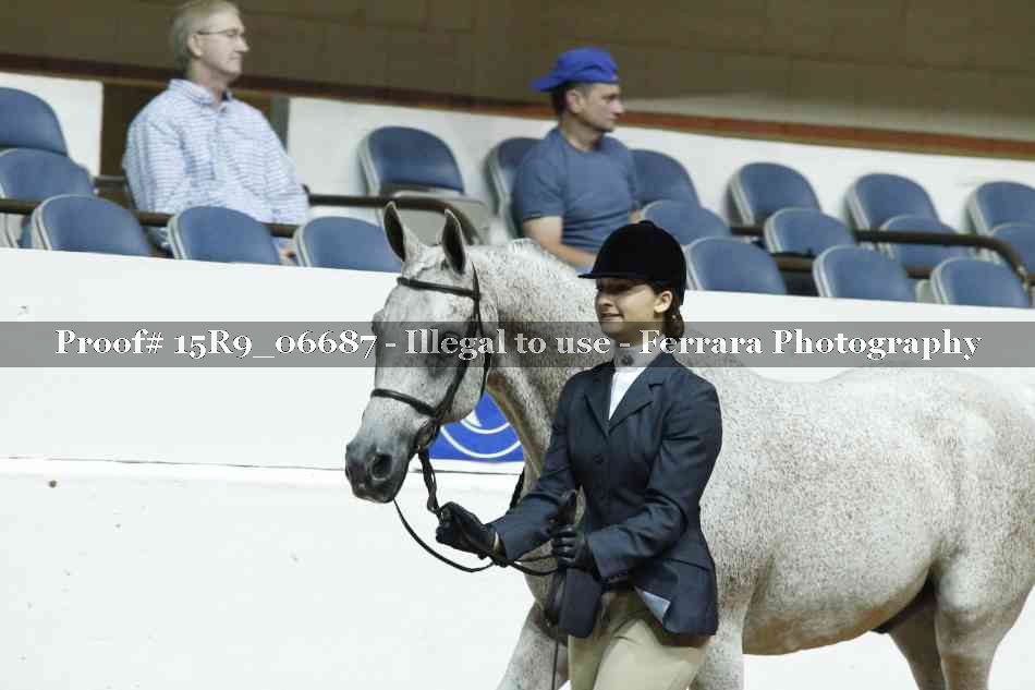 Proof Number 15R9_06687