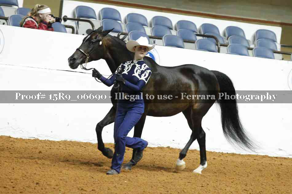 Proof Number 15R9_06690
