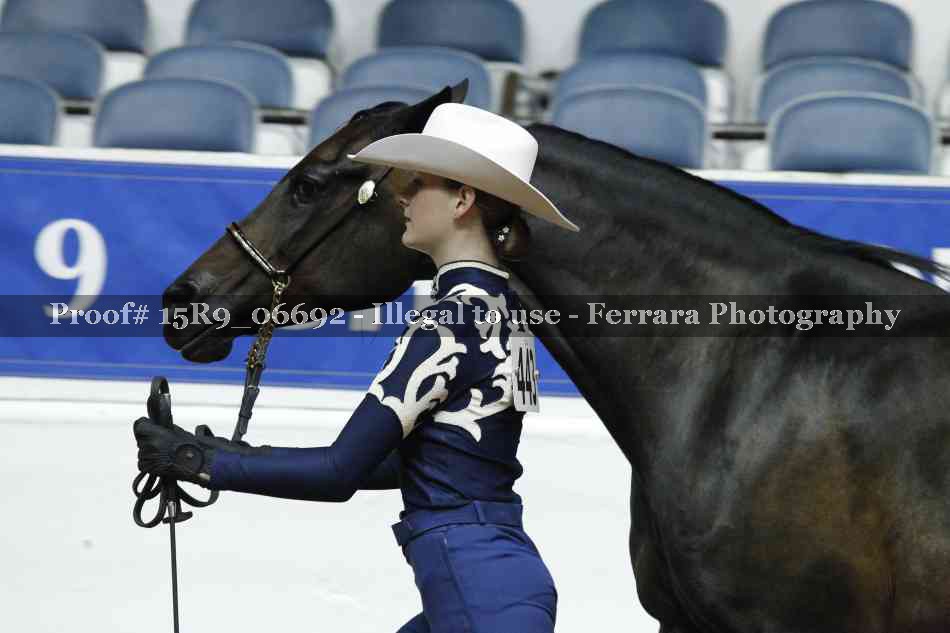 Proof Number 15R9_06692