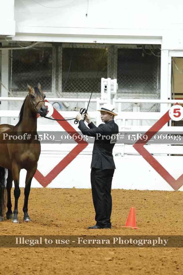 Proof Number 15R9_06693