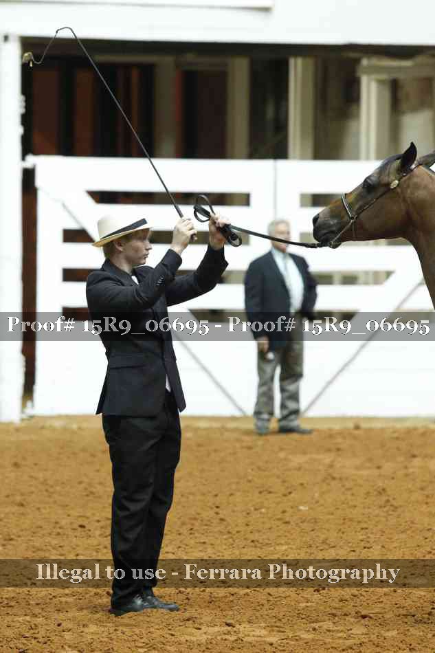 Proof Number 15R9_06695