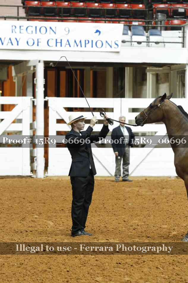 Proof Number 15R9_06696