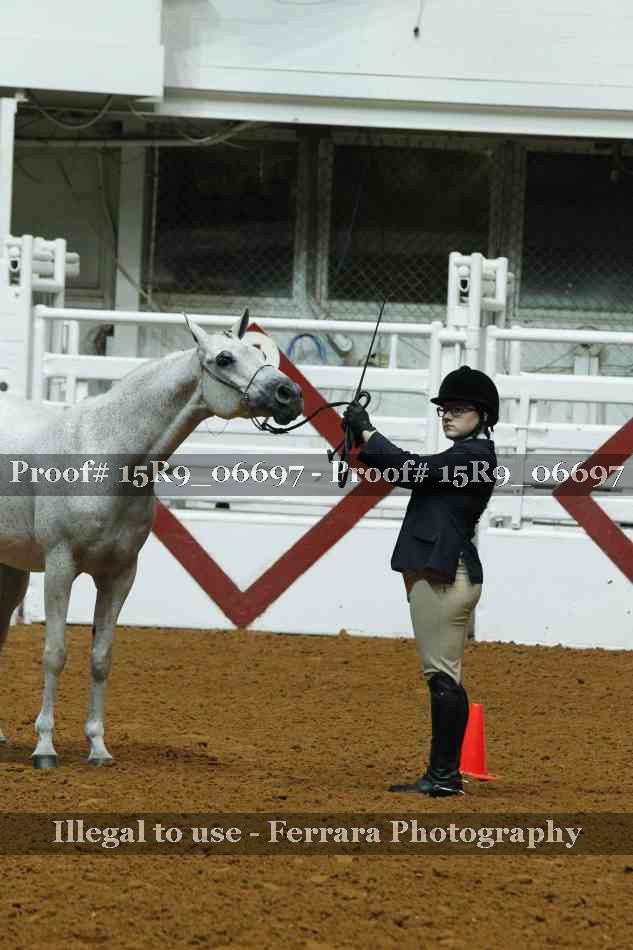 Proof Number 15R9_06697