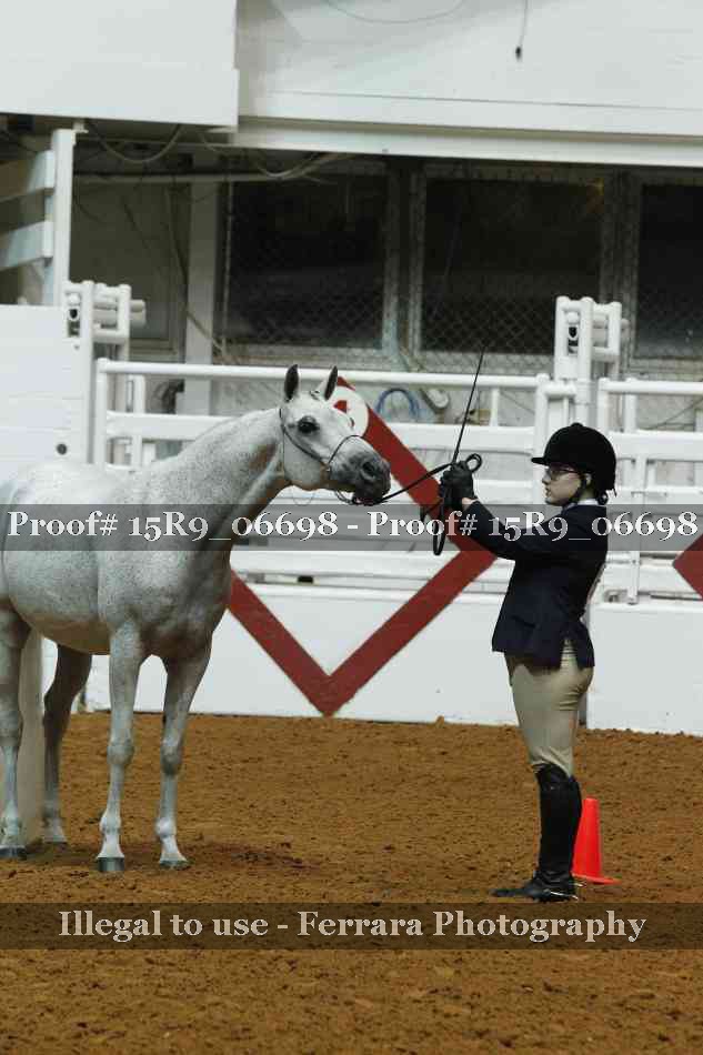 Proof Number 15R9_06698