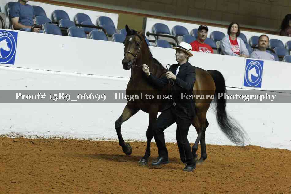 Proof Number 15R9_06699