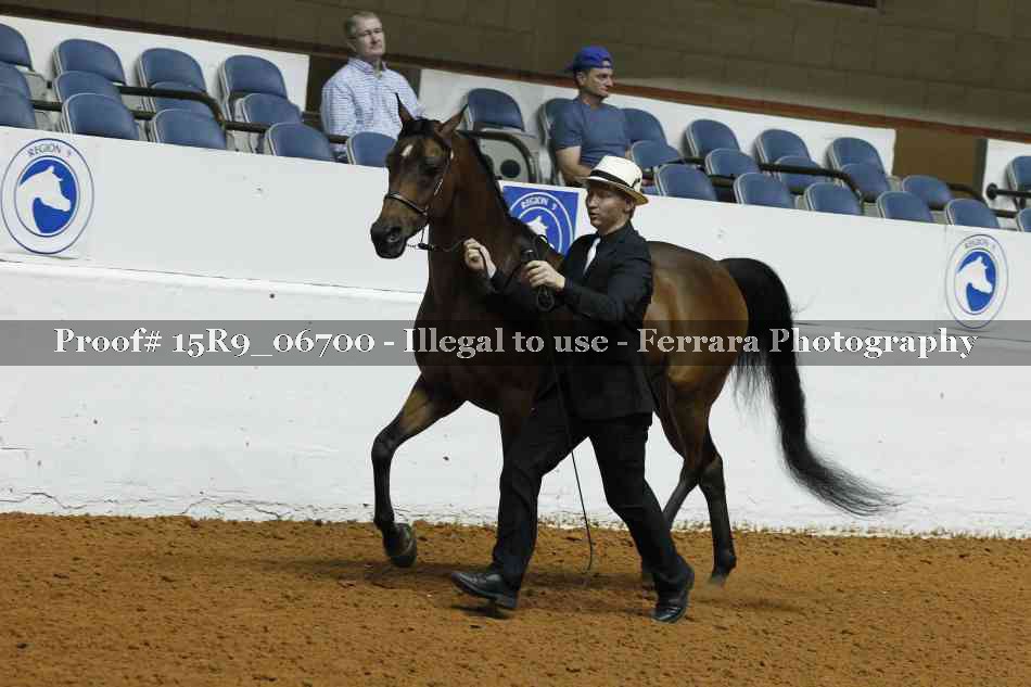 Proof Number 15R9_06700