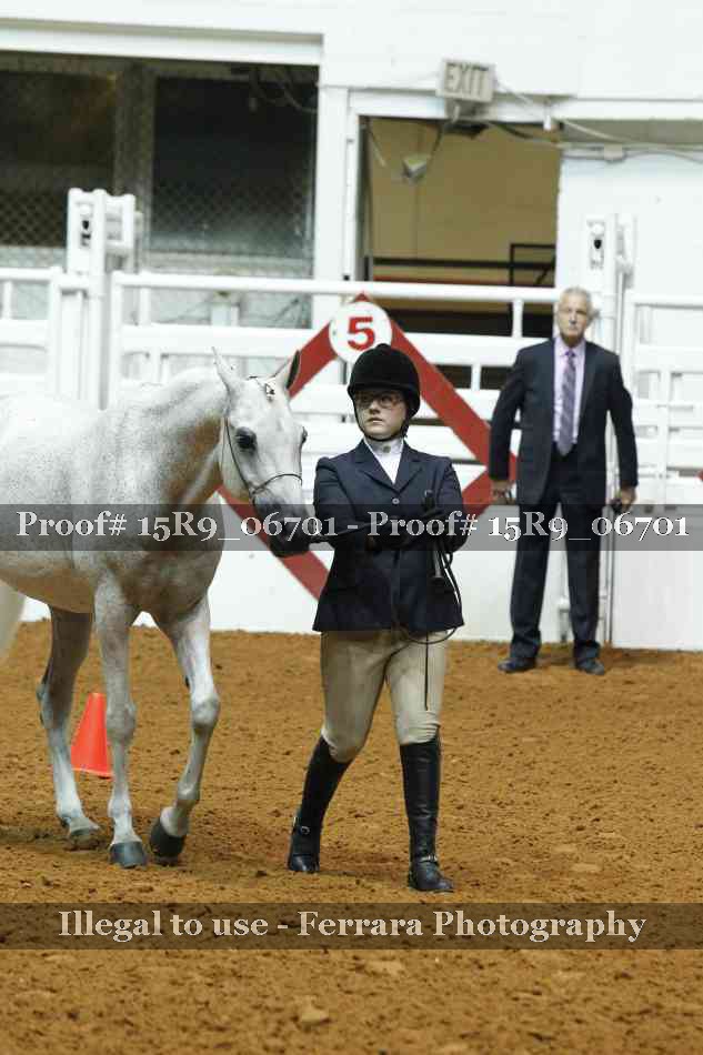 Proof Number 15R9_06701